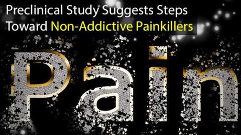 Preclinical Study Suggests Steps Toward Non-Addictive Painkillers