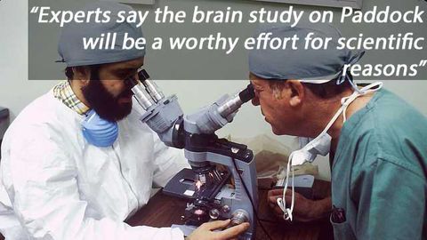 Las Vegas Gunman's Brain Under the Microscope