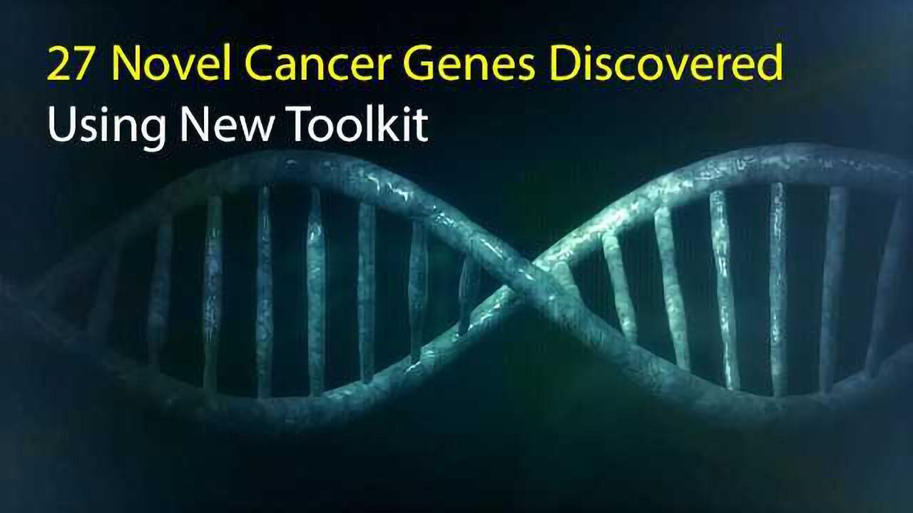 27 Novel Cancer Genes Discovered Using New Toolkit