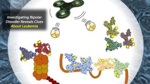 How an Interest in Bipolar Disorder Drugs Led to a Better Understanding of Leukemia