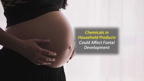 Exposure to "Safe" Levels of BPA Could Affect Foetal Development
