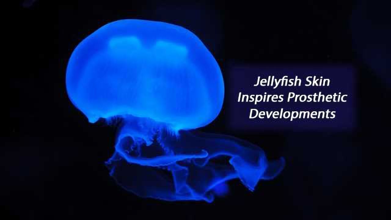 Jellyfish-Inspired Electronic Skin Glows When it Gets Hurt