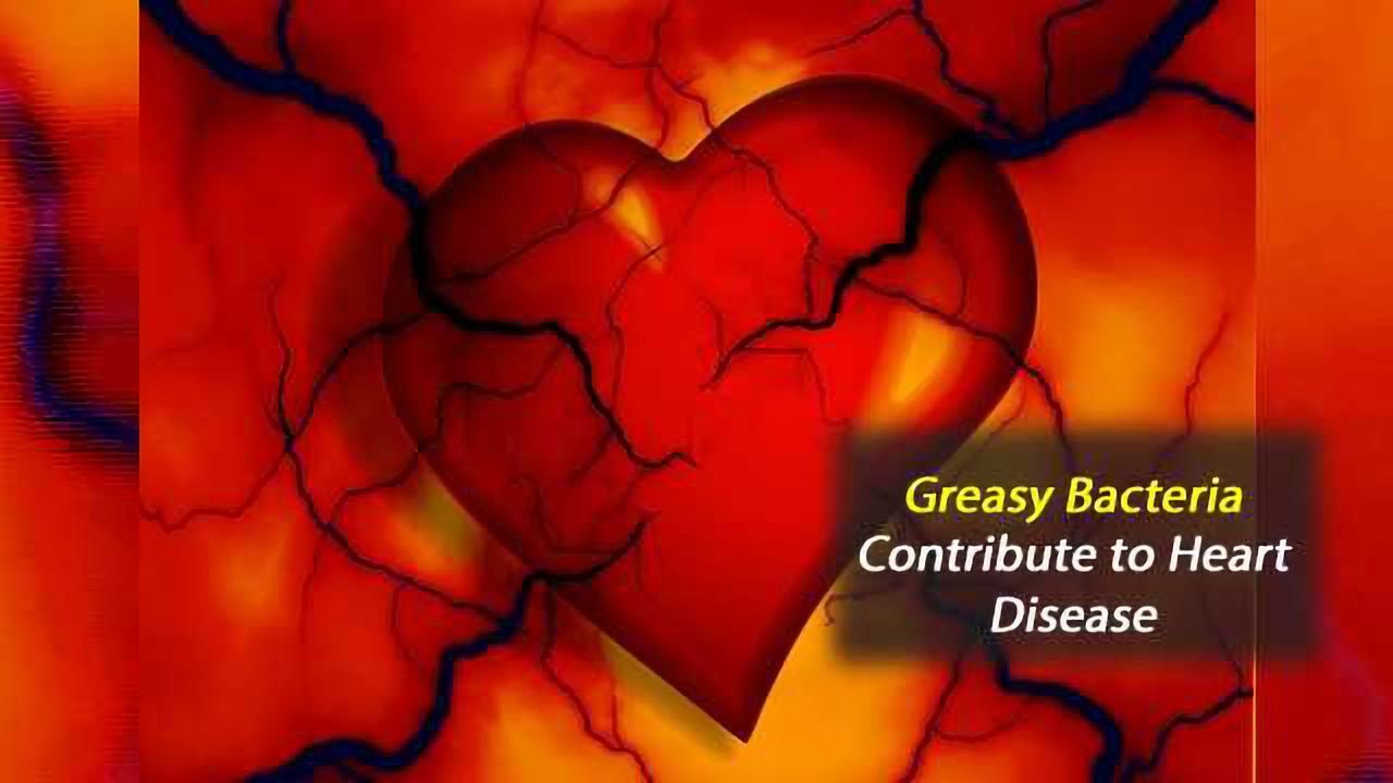 Bacterial Fats, Not Dietary Ones, May Deserve the Blame for Heart Disease