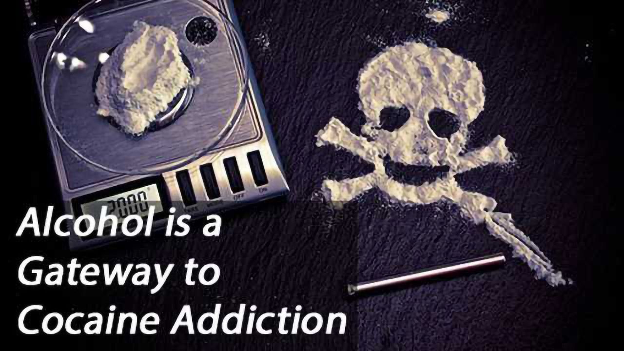 Alcohol is Gateway Drug to Compulsive Cocaine Use