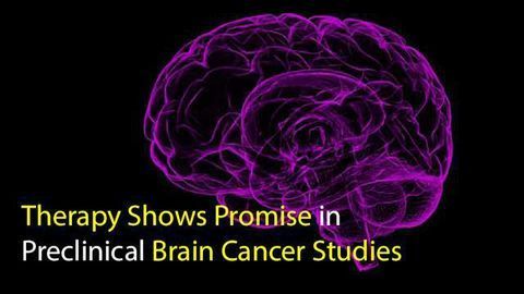 Therapy Shows Promise in Preclinical Brain Cancer Studies