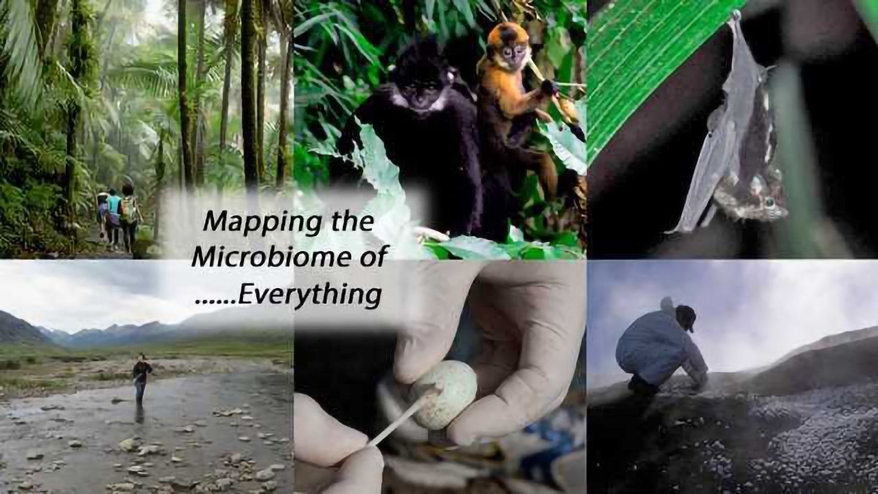 Mapping the Microbiome of … Everything