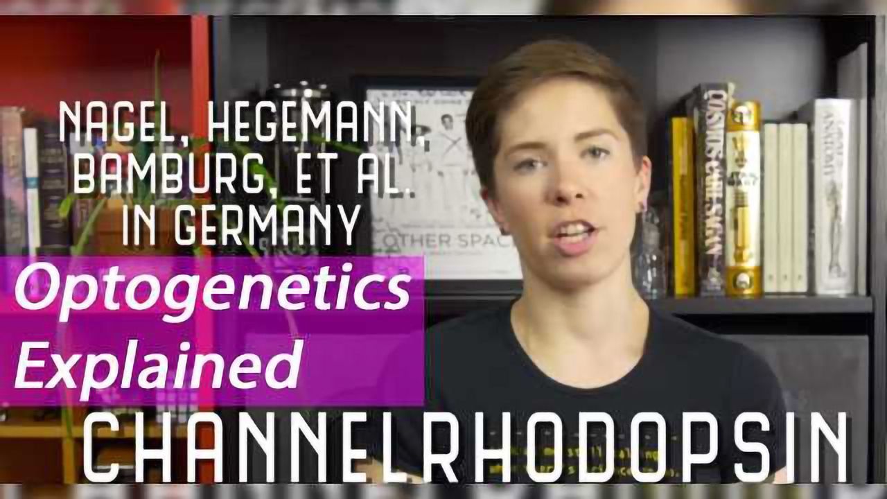 Optogenetics Explained
