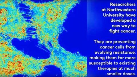 Effective New Strategy for Treating Cancer
