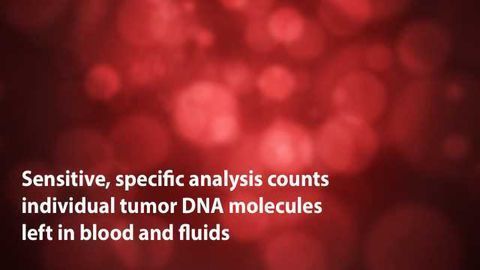Liquid Biopsy Spots Aggressive Pediatric Brainstem Cancer Earlier