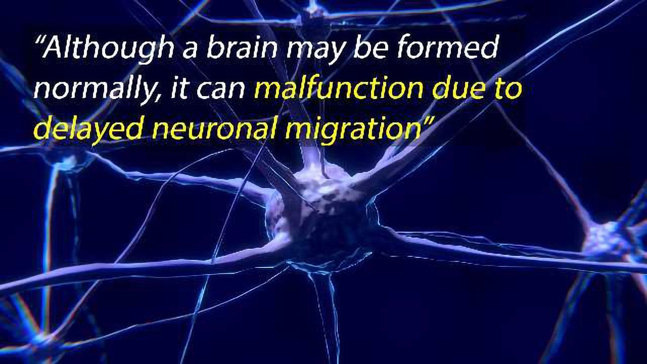 Rescue-able Disruption of Neuronal Migration That Induces Autism-like Behavior in Rats