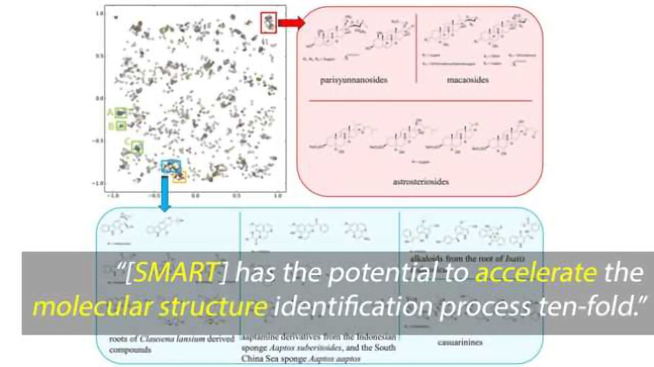 SMART: Molecular Structure Facial Recognition