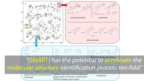 SMART: Molecular Structure Facial Recognition