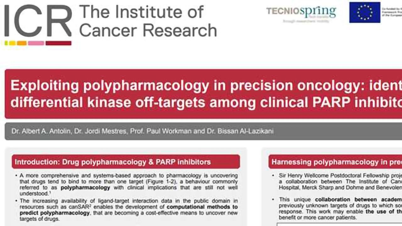 Exploiting Polypharmacology in Precision Oncology: Identification of Differential Kinase Off-targets Among Clinical PARP Inhibitors