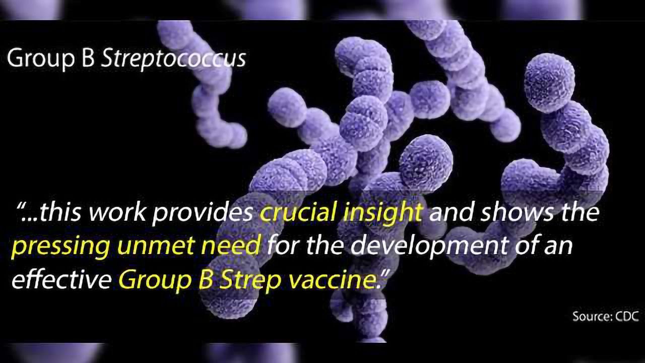 Maternal Vaccination Against Group B Streptococcus On It's Way