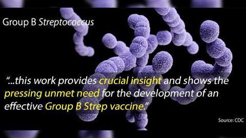 Maternal Vaccination Against Group B Streptococcus On It's Way