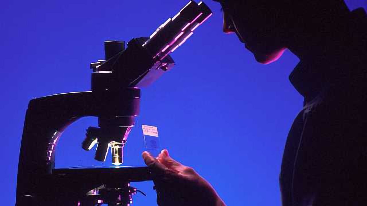 Training Evolution in Pathology Needed to Deliver Precision Medicine