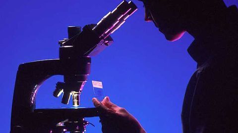 Training Evolution in Pathology Needed to Deliver Precision Medicine