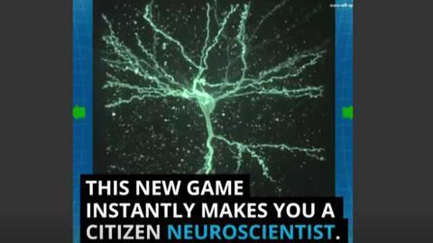 Mozak: A Citizen Science Neuroscience Game