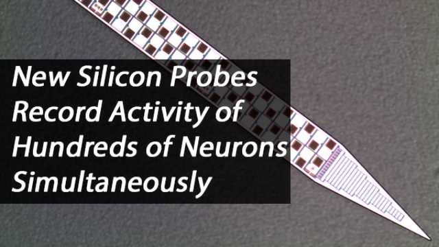 Neuropixels Probes Can Record from Hundreds of Neurons in Different ...