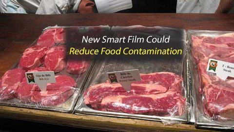 New "Sugar-Glass" Film Uses Viruses to Kill Harmful Bacteria in Food
