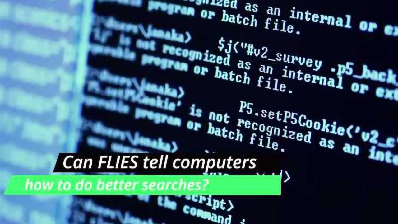 Fruit Fly Brains Inform Search Engines of the Future