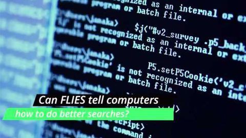 Fruit Fly Brains Inform Search Engines of the Future