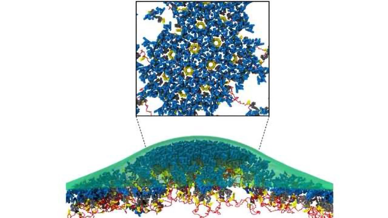 Missing Clue to How HIV Hacks Cells to Propagate Itself Found