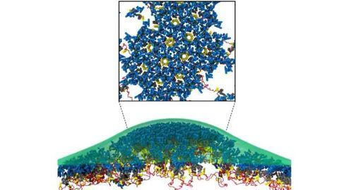 Missing Clue to How HIV Hacks Cells to Propagate Itself Found