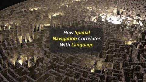 How Spatial Navigation Correlates with Language