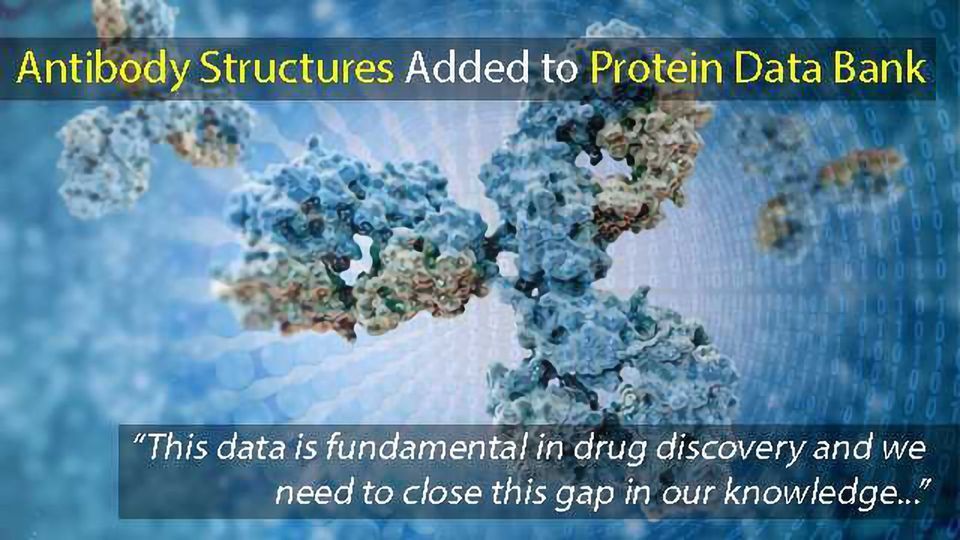 AbVance Project Antibody Structures Released into Protein Data Bank