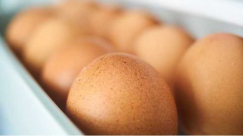 New Method for the Detection of Fipronil Insecticide and its Associated Metabolites in Eggs and Poultry Launched by SCIEX
