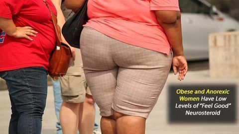 Obese and Anorexic Women Have Low Levels of ‘Feel Good’ Neurosteroid