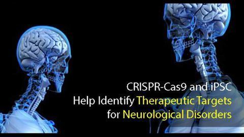 Innovative Genetic and Cellular Techniques Help Identify Multiple Disease Targets