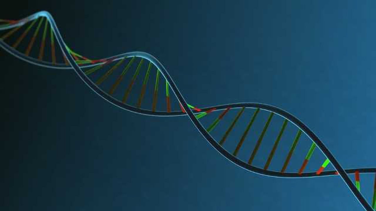 Discovering a Protein’s Role in Gene Expression
