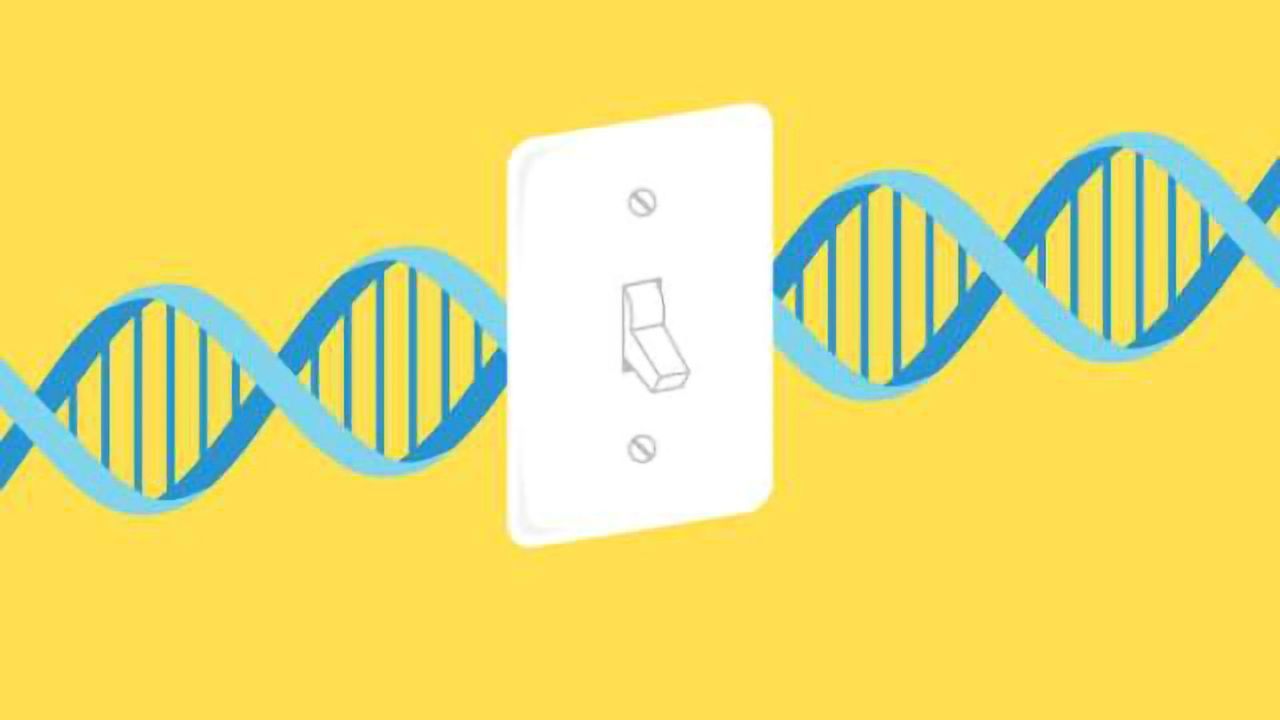 Discovery of Reversible "Master Switch" Sheds Light on Regulation of Developmental Genes