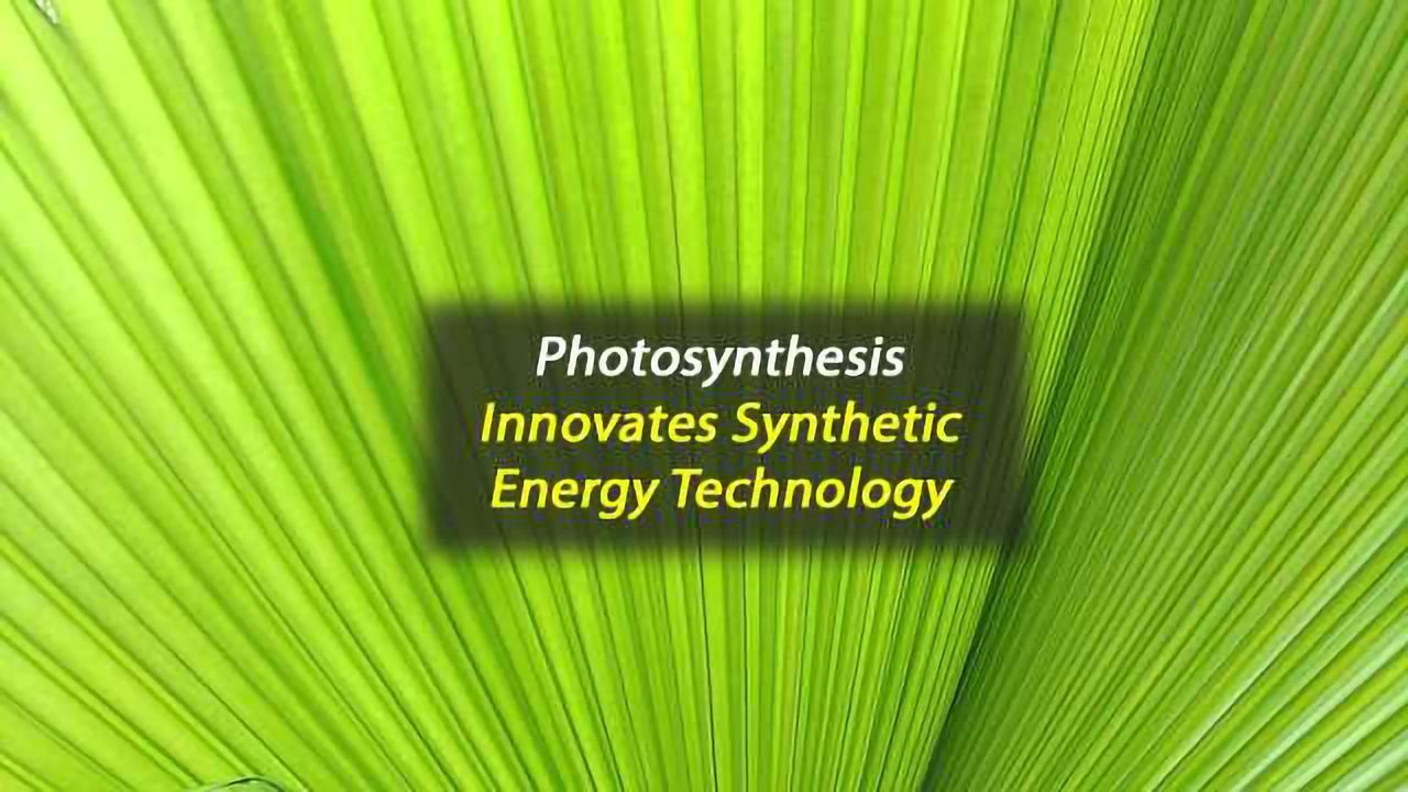 Lessons From Photosynthesis Innovate Synthetic Energy Gathering Systems