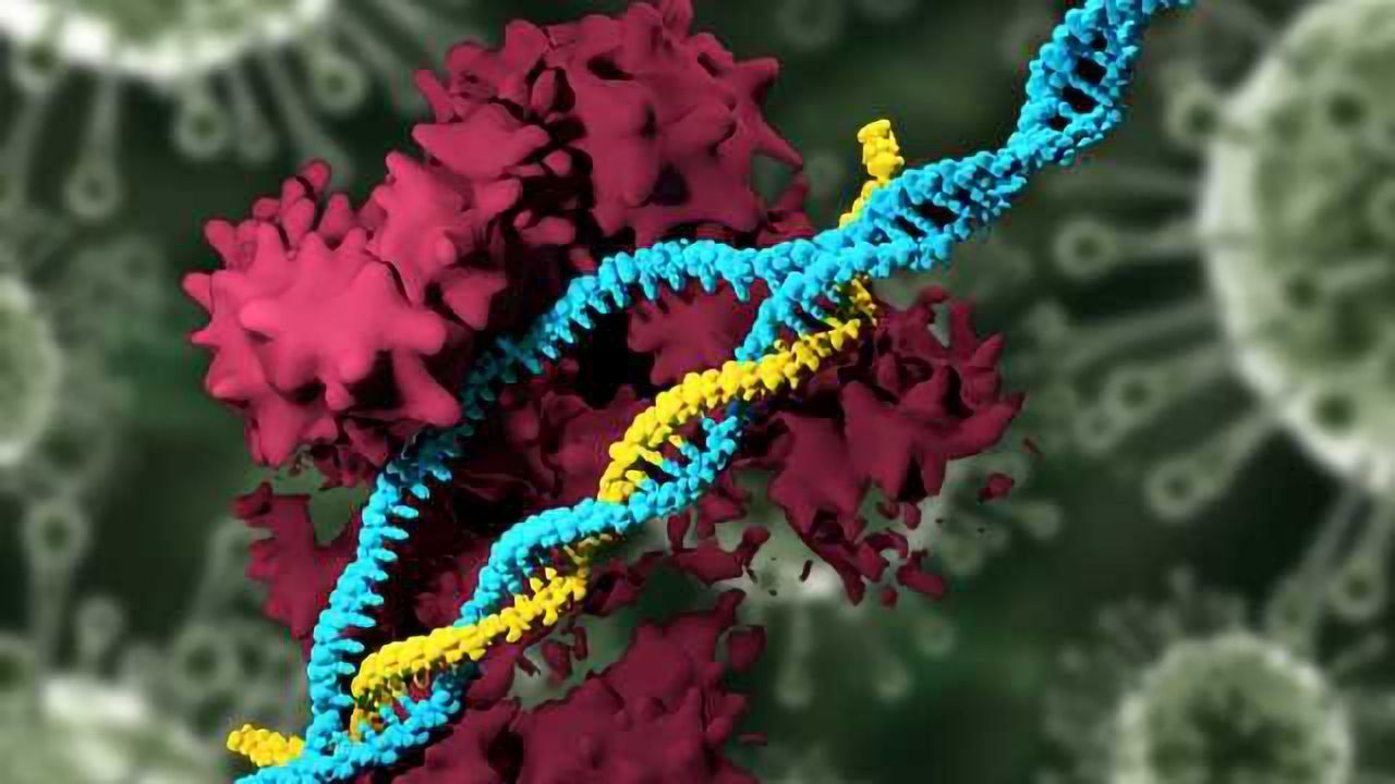 CRISPR Delivery System Enables Deletion of Disease-causing Genes