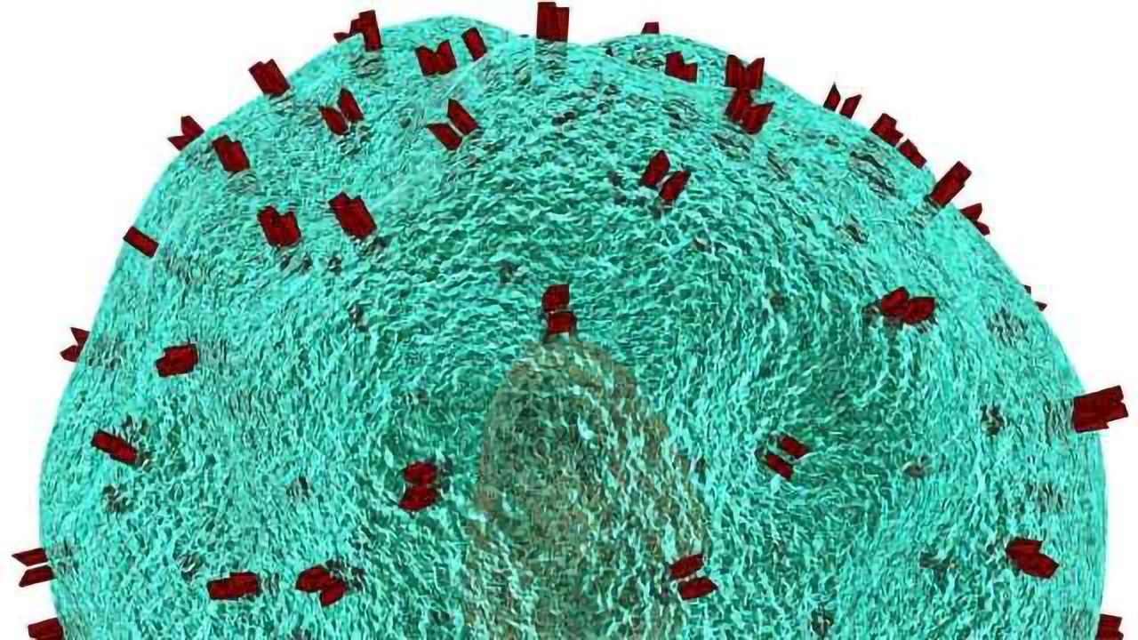 Engineering Non-immune Cells to Kill Cancer Cells