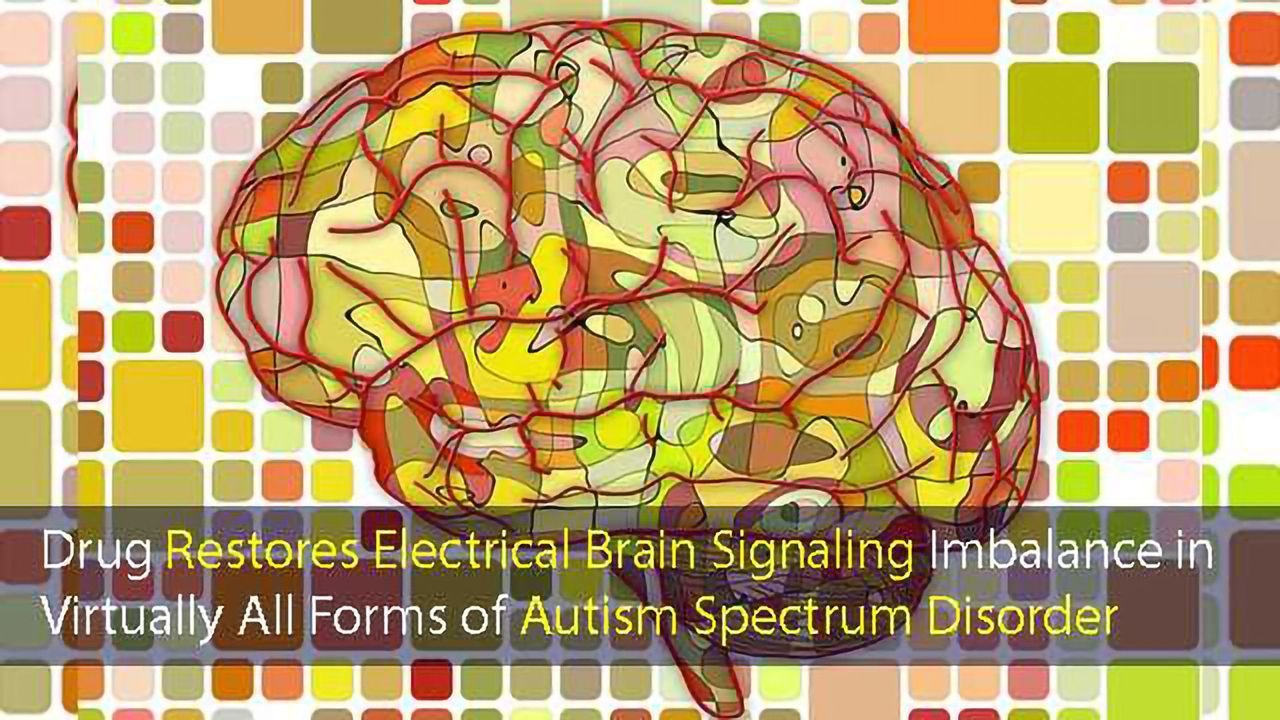 Mouse Model Demonstrates Potential of New Autism Drug