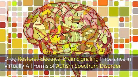 Mouse Model Demonstrates Potential of New Autism Drug