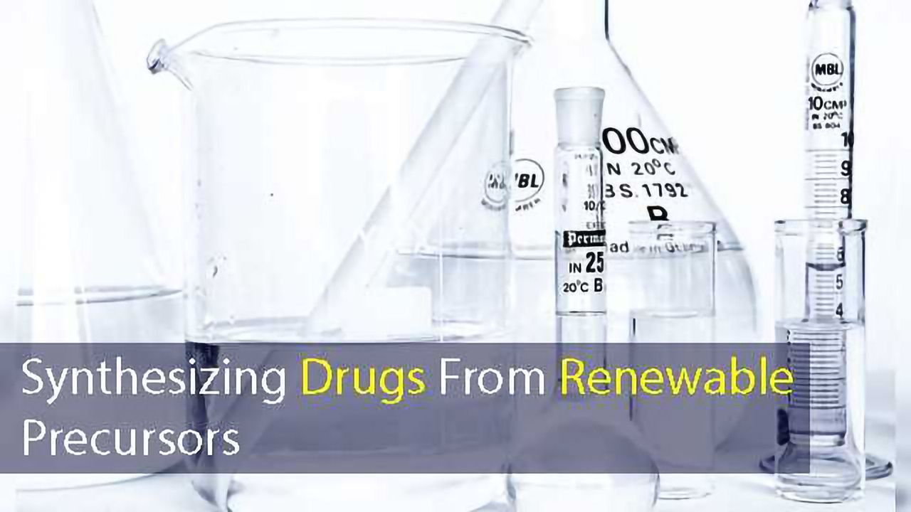 Chemists Develop Method to Synthesize Drugs From Renewable Precursors