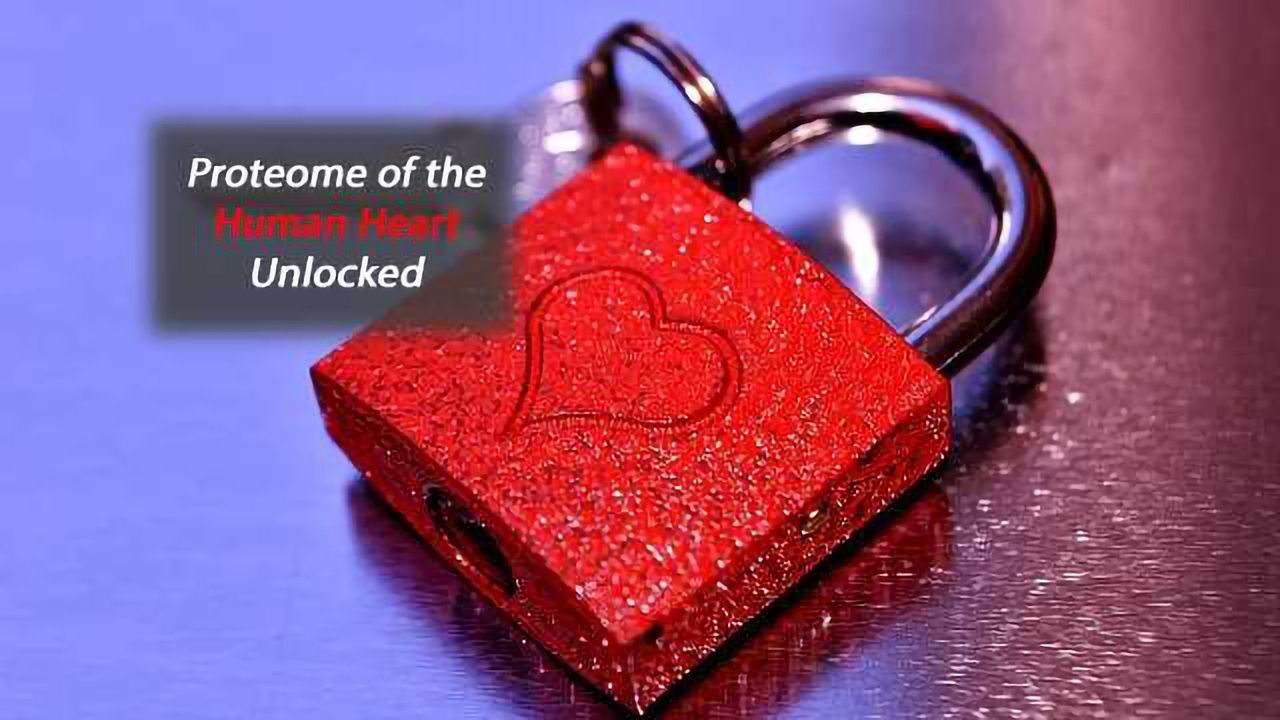 Proteome of the Human Heart Mapped for the First Time