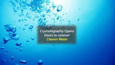 Neutrons Probe Oxygen-Generating Enzyme for a Greener Approach to Clean Water
