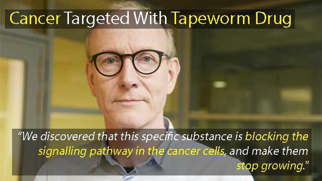 Prostate- and Colon Cancer Targeted With Tapeworm Drug