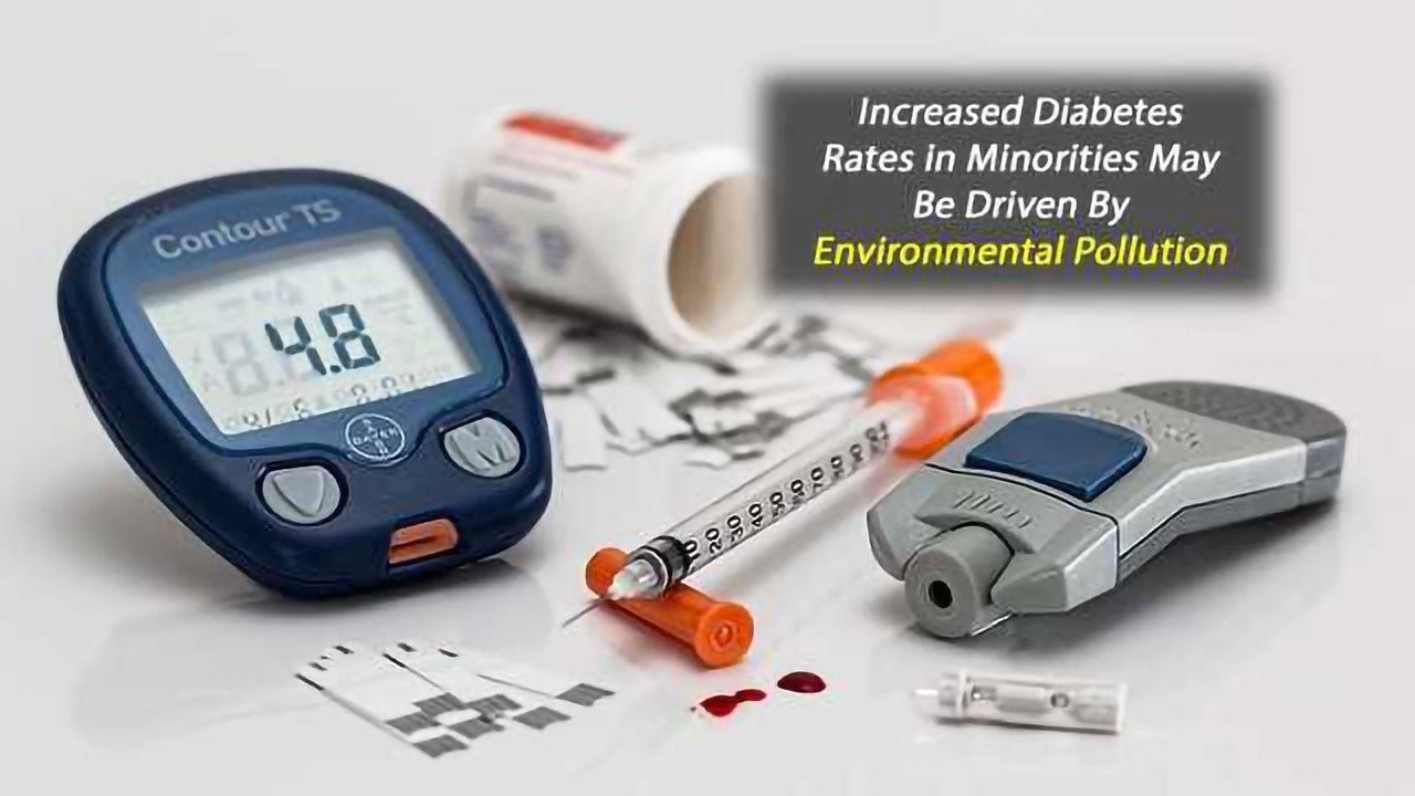 Higher Diabetes Rates in Minorities May be Driven By Environmental Pollutants