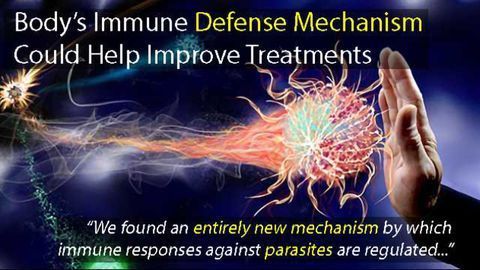 Discovery of Immune Defense Mechanism Could Help Improve Treatments