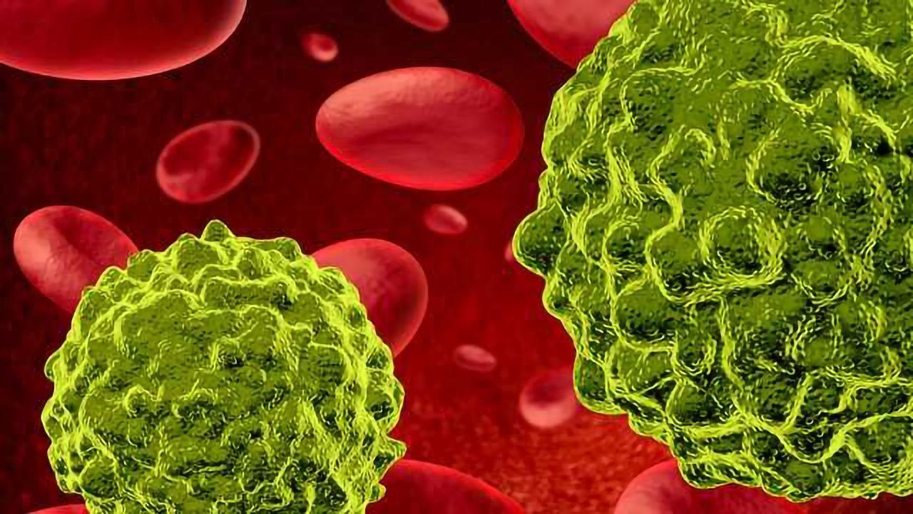 HVEM Products for Immuno-Oncology Research