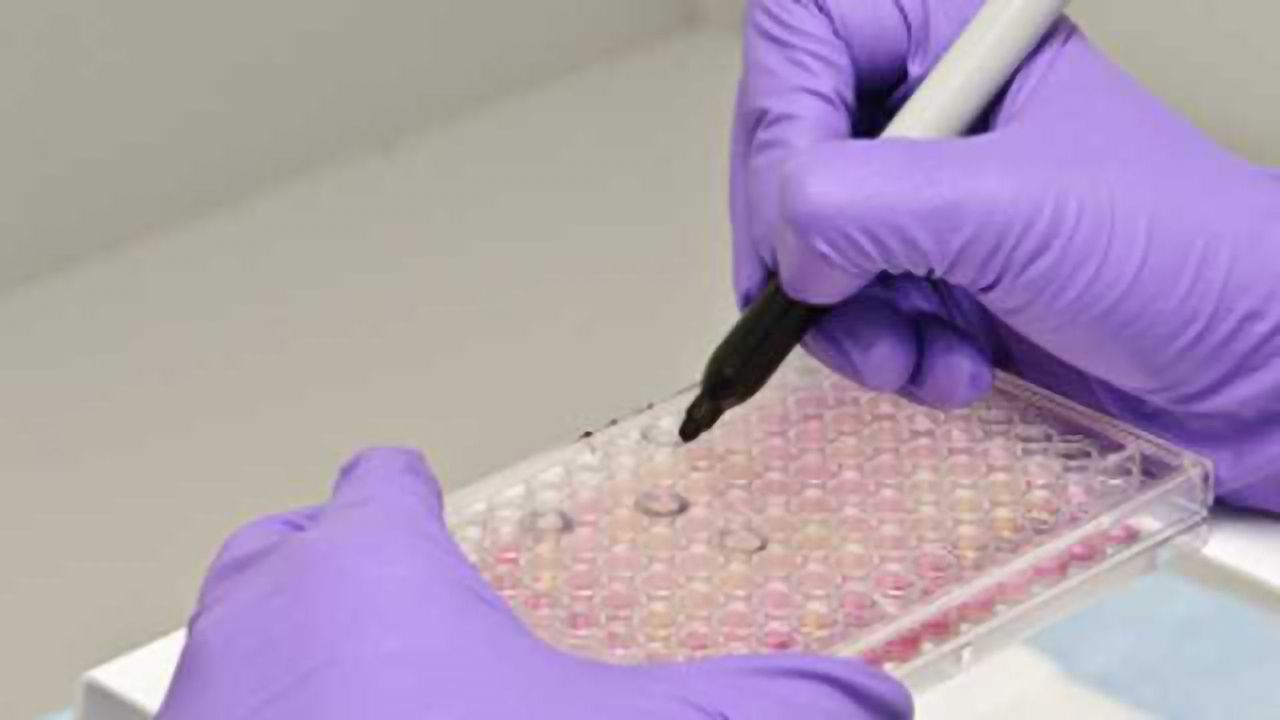 Lonza Expands Service Offerings for Early Phase Biopharmaceutical Drug Development