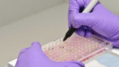 Lonza Expands Service Offerings for Early Phase Biopharmaceutical Drug Development