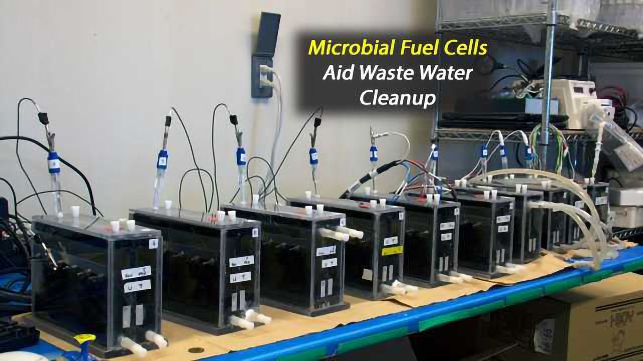 Cleaning Okinawan Pig Farm Wastewater with Microbial Fuel Cells